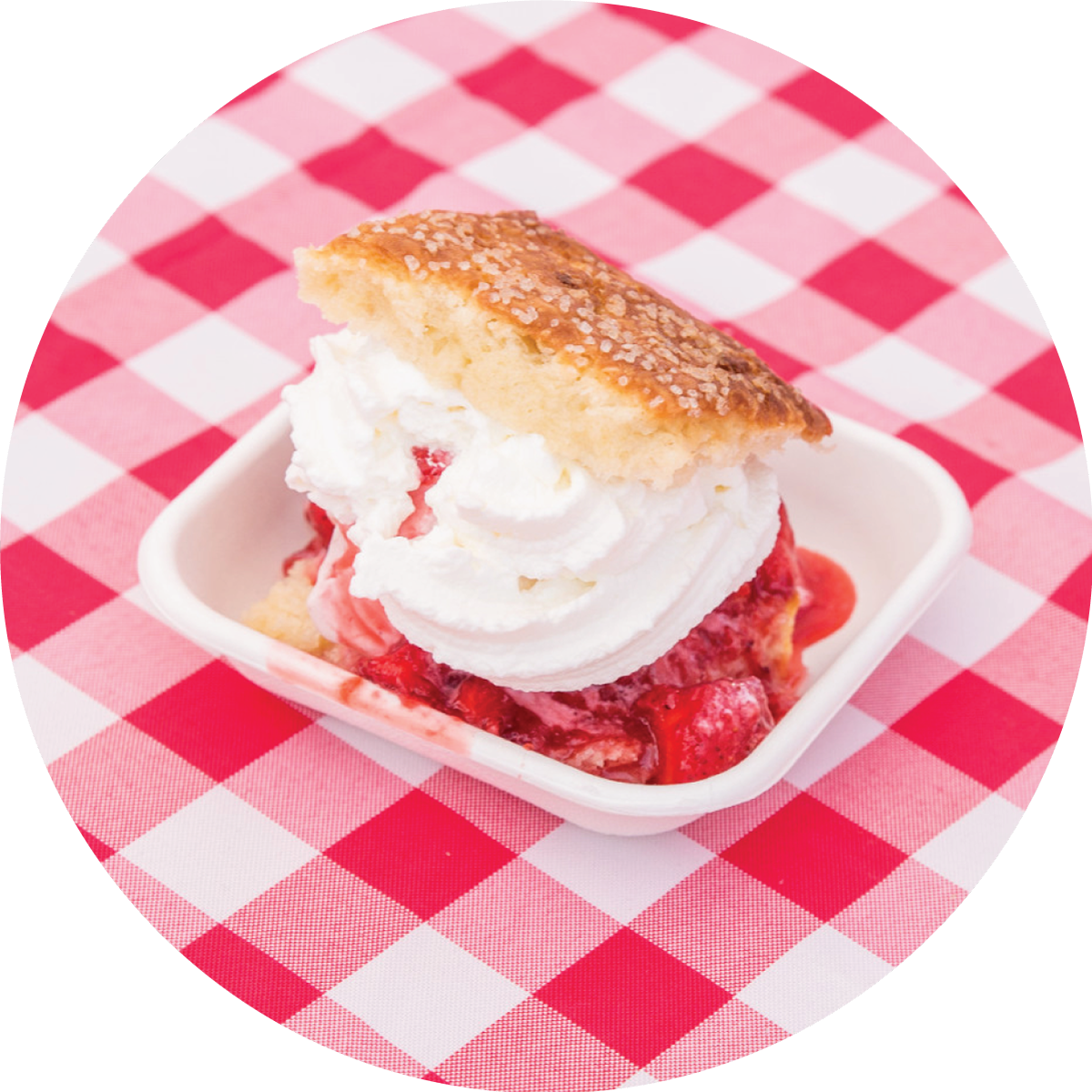 fox-shortcake2