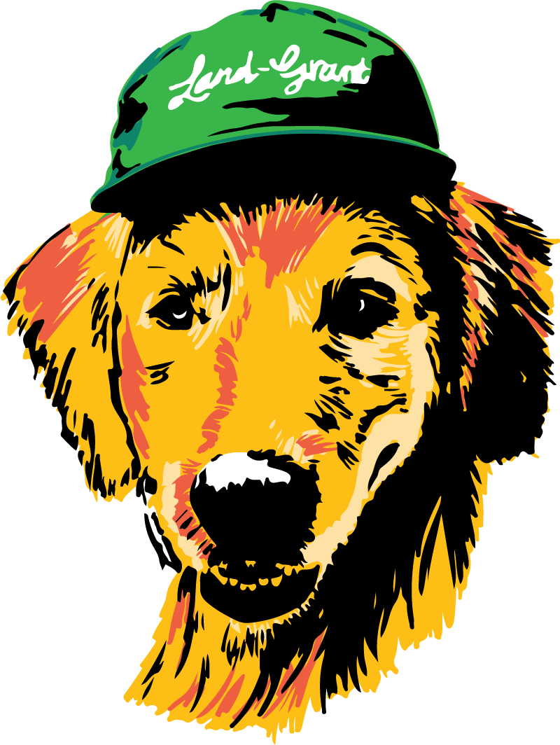 doggo